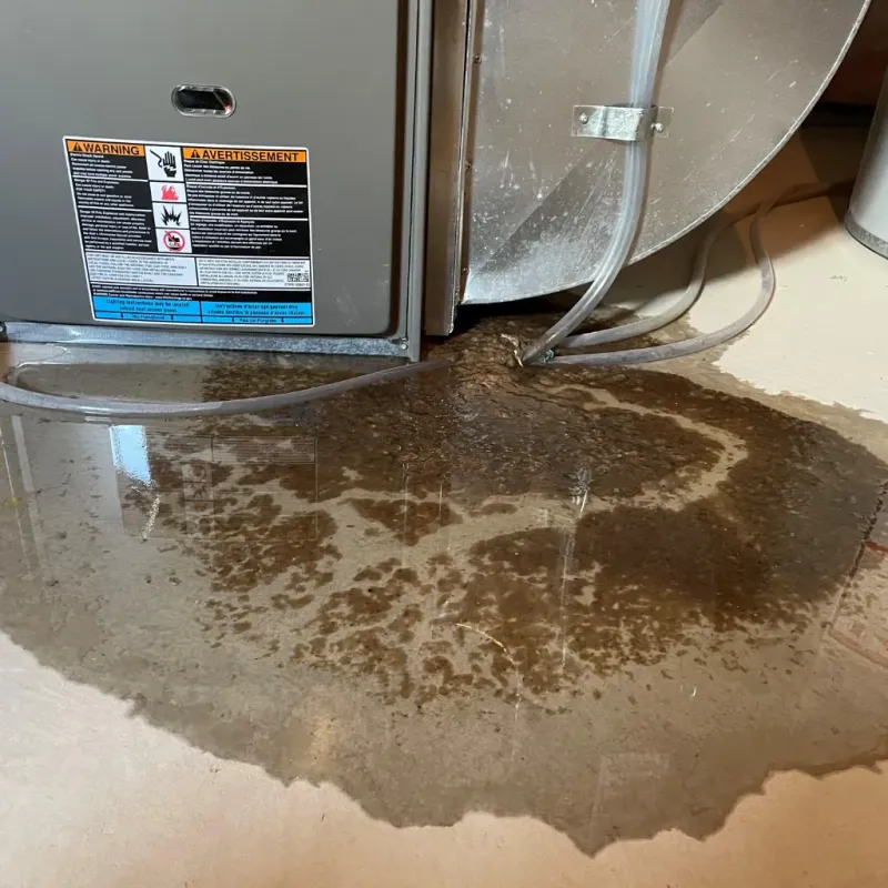 Appliance Leak Cleanup in Smithton, IL