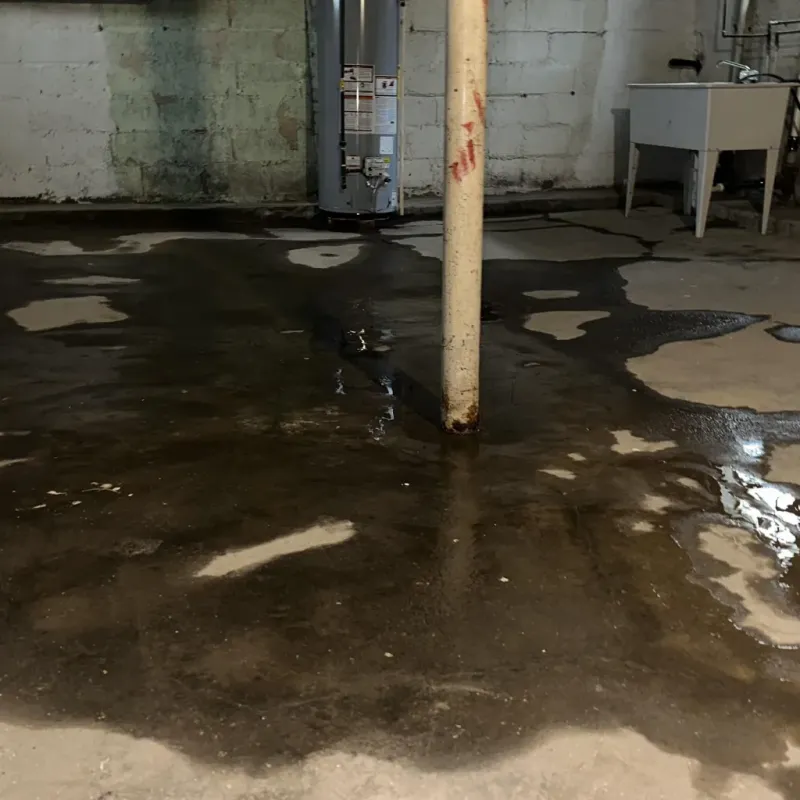 Emergency Water Extraction And Removal in Smithton, IL